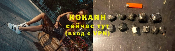 гашик Беломорск