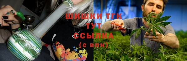 дживик Балахна